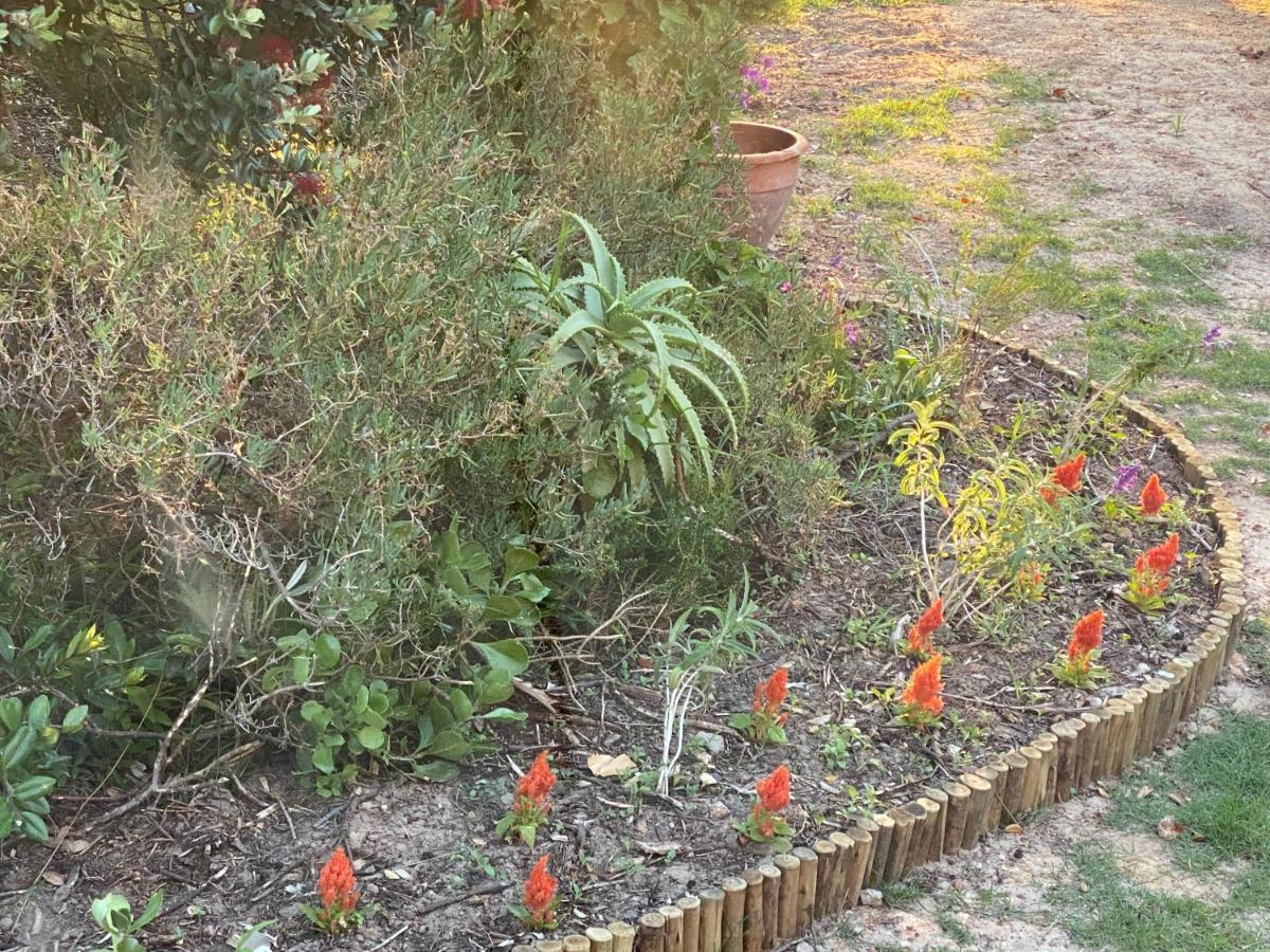 Wild Rose Country Lodge Noordhoek Luaran gambar