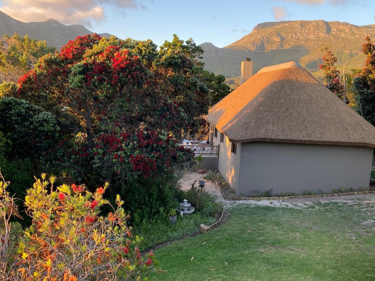Wild Rose Country Lodge Noordhoek Luaran gambar